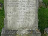 image of grave number 207055